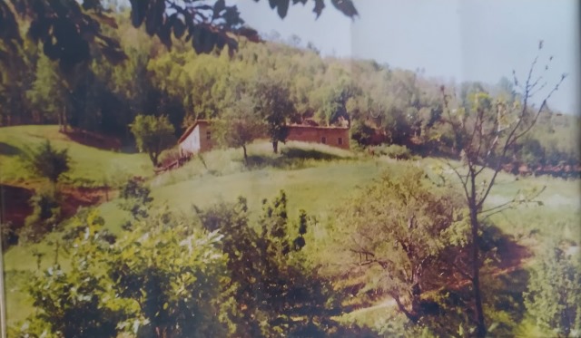 1959 yazında feodal zorbalığa kurban giden Ali Gül’ün Beğendik köyündeki evi, 1994 yılında yağmacıların uğrak yeri olmuştu. (Fotoğraf: Gül ailesi arşivi)