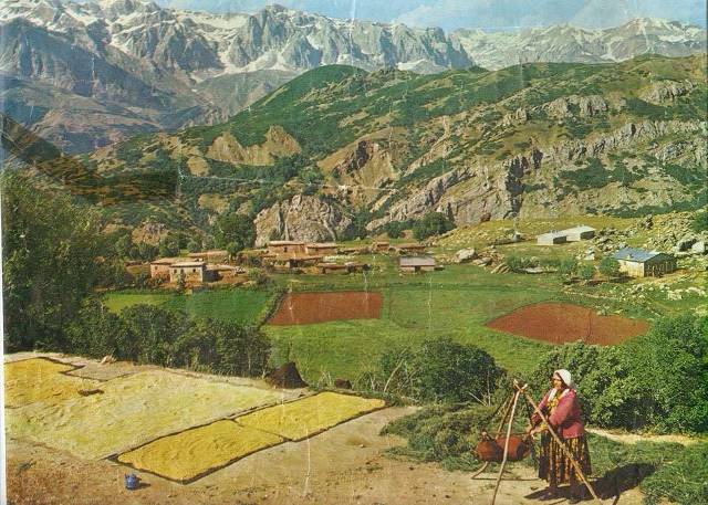 Dağbek, 1973. Fotoğrafın öyküsü: Doğa fotoğrafçısı Yusuf  Ziya Ademhan, çektiği fotoğrafın altına Karagöz yazdırmış. Avukat Avni Aksu, fotoğrafı,  Karagözlü (Gurık) Ali Tepe’nin Erzincan’daki bürosuna götürür. Ali Tepe, fotoğrafın Dağbek’e ait olduğunu fark eder. Dağbekli damadı Turabi Mutlu, çerçeveletilmiş  fotoğrafın kopyasını çevresindekilerle paylaşır. Fotoğraftaki kadın,  Dağbekli Ahmet Çelik’in eşi Hacer Çelik’tir.  