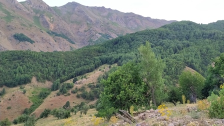 Pülümür Hınzori köyünden çevre köyler ve dağların görünümü 
