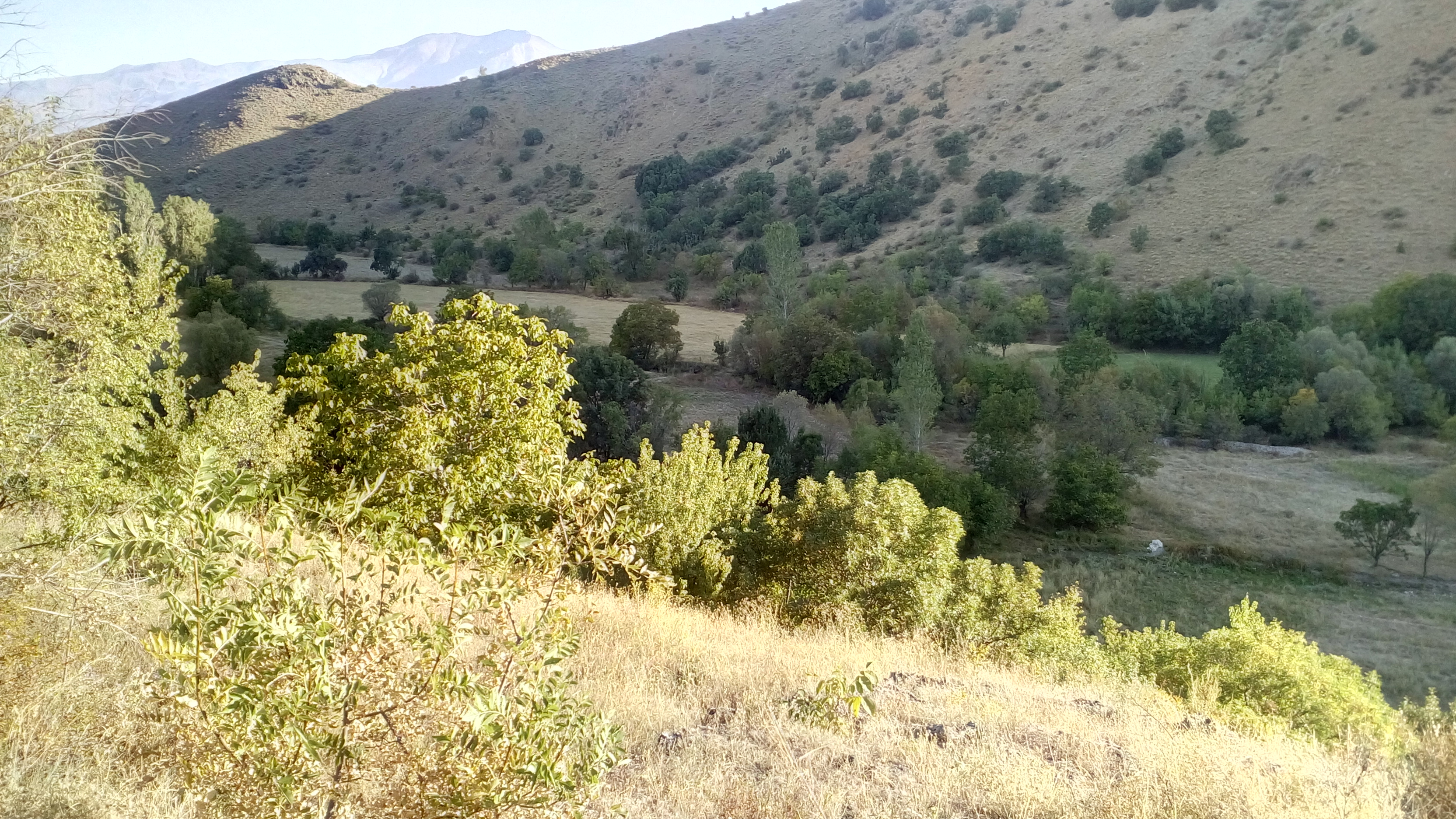 Erzincan Kalecik köyü