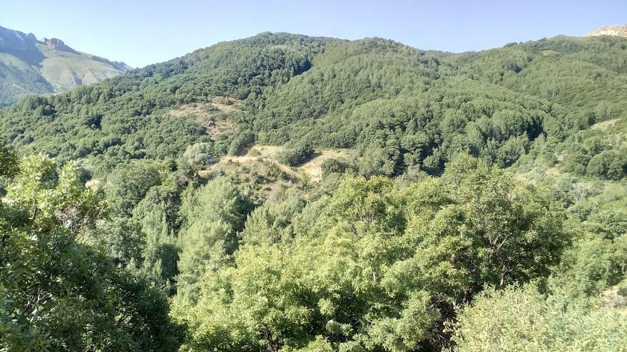 Çatalyaka köyü