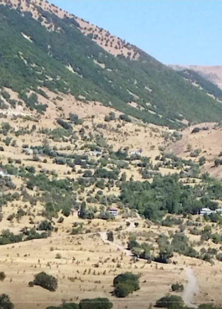 Turabi Doğan’ın, keçilerini kurtlara ‘ikram’ ettiği Boriz ve Cerdu bölgesi, Gökçekonak’ın doğusunda yer alıyor.