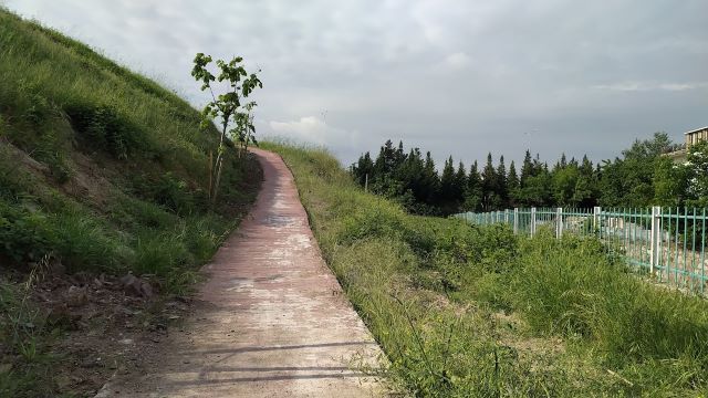 Körfezkent Parkı yürüyüş yolunu ‘süsleyen’ boya  pul pul dökülüyor, 3 Mayıs 2024.