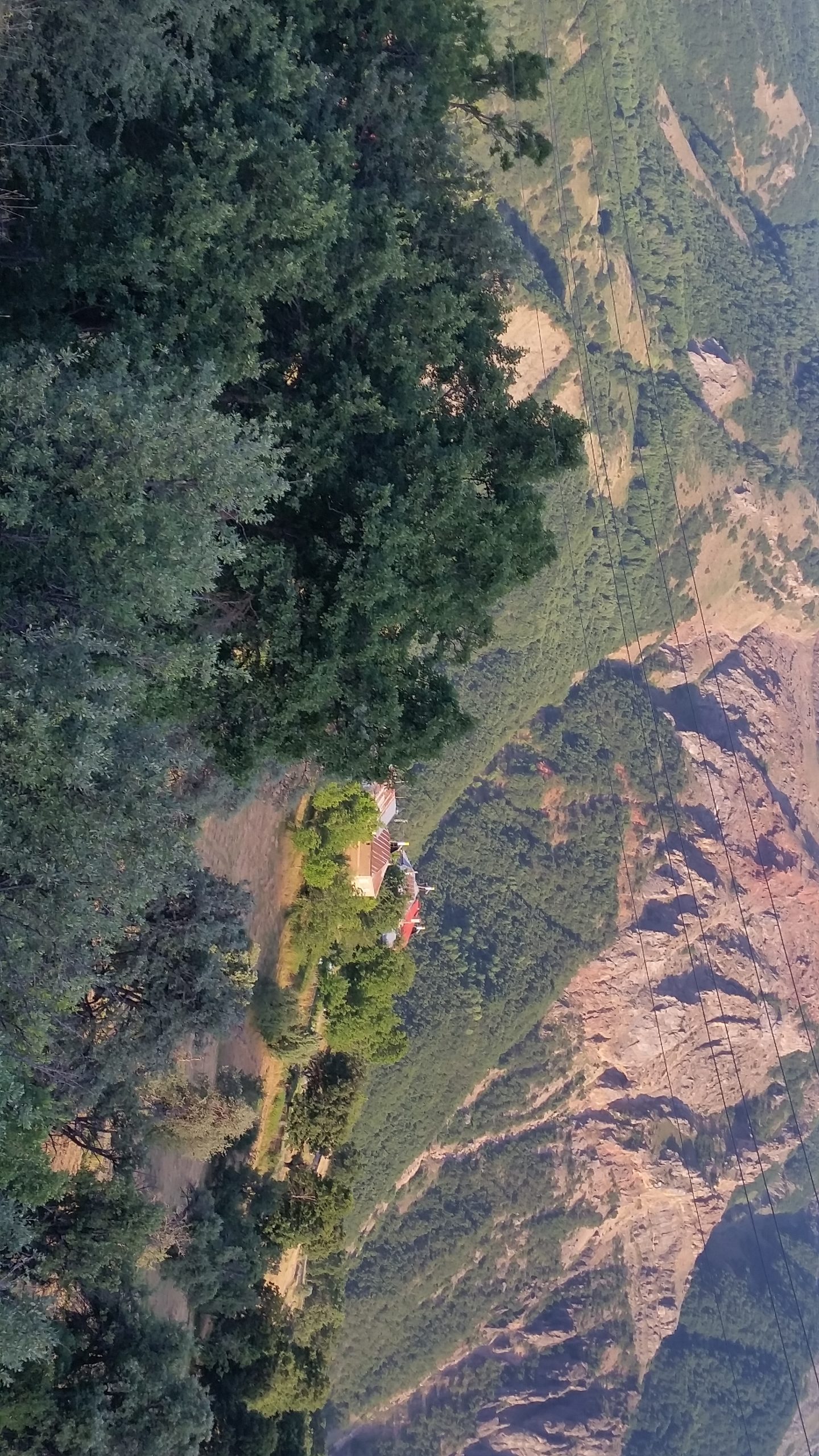 TUNCELİ’DE  ORMAN YANGINLARI