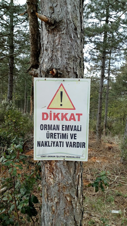 İzmit Orman İşletme Müdürlüğünün 'emval' levhası ağacın gövdesine çiviyle çakılmış (Yüreği orman için çarpan ormancılara ne oldu?)