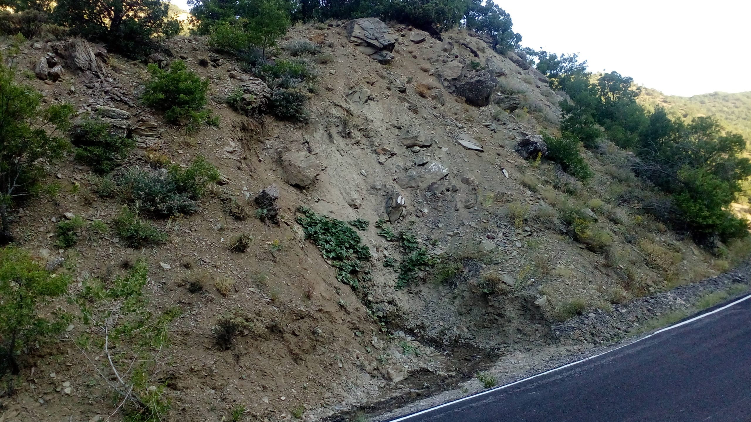 PÜlümür Löriz Çeşmesi (Bütün hatıralar Pülümür Çayı'na taşınmış)