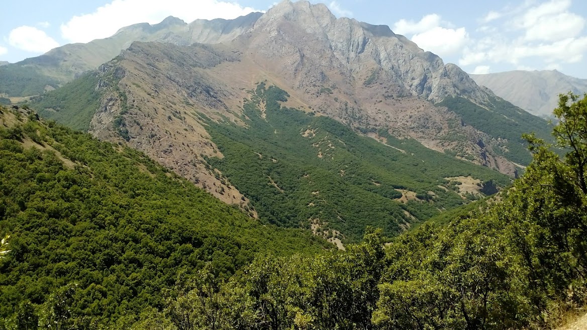 PÜLÜMÜR’DE HAZİNE  ARAZİLERİNİN SATIŞI/İŞTE GERÇEKLER