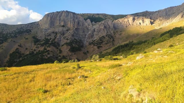 Nazımiye Oğullar (Hılves) köyü Serdeniye mezrası, 3 Temmuz 2024.